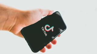 Eine Hand hält ein Smartphone, auf dessen Display die App "TikTok" zu sehen ist. (Foto: pixabay/8268513)