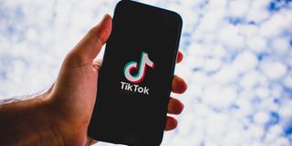 Die App TikTok (Foto: pixabay.com/konkarampelas)