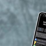 Smartphone mit der WhatsApp-Gruppenbeschreibung von "Daten wir den selben Mann". (Foto: tiktok/franziskapollonia)