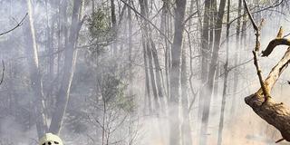 Feuerwehrkräfte löschen einen Waldbrand in St. Ingbert (Foto: Florian Jung)