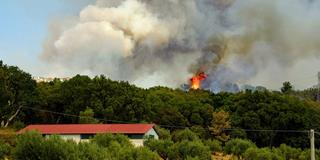 Waldbrand (Foto: pixabay.com/valtercirillo)