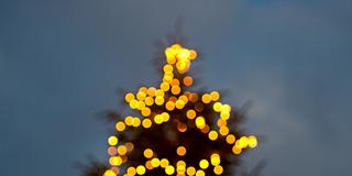 Weihnachtsdeko, Tannenbaum, Strom  (Foto: SR)