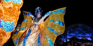 Weihnachtsgarten 2025 (Foto: BeckerBredel)