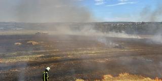 Die verkohlte Wiese in Obersalbach-Kurhof (Foto: Foto: Feuerwehr, Pascal Altmayer)