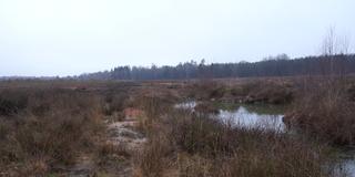 Das Areal am Zunderbaum, auf dem Fiege sich ansiedeln will (Foto: SR Fernsehen)